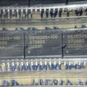 DS1020S-100