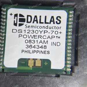 DS1230YP-70IND